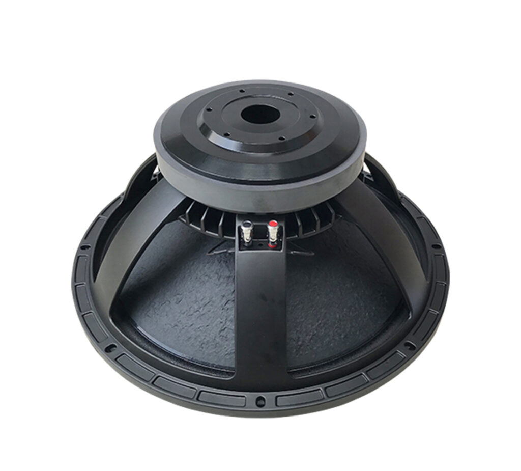Naked Speakers AS 15 Inches | ArizSound